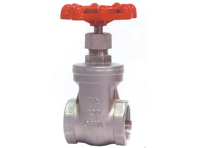 STAINLESS STEEL GATE VALVE(Ply